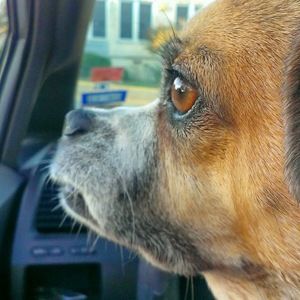 Meet your Posher, Ky